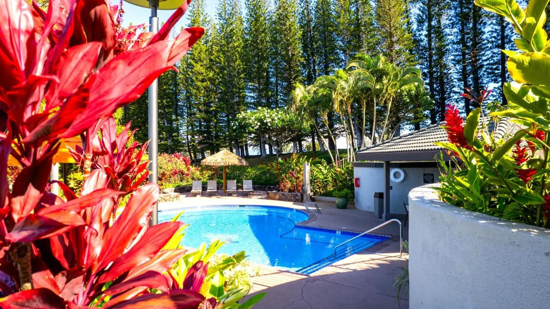 K B M Resorts- KGV-22T5 Stunning 1Bd upgraded villa with ocean views, custom remodel Kapalua 0*,